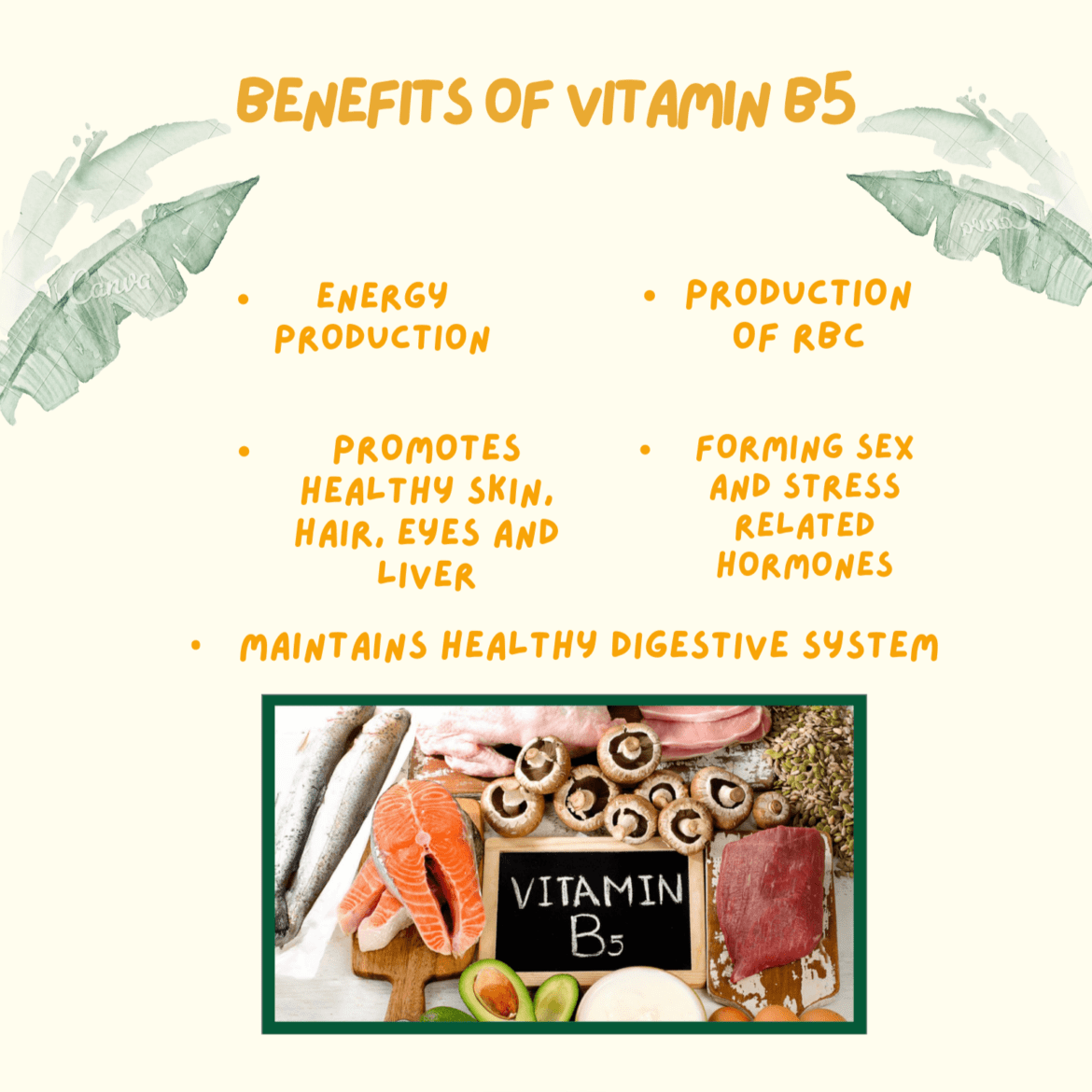 Benefits of vitamin B5