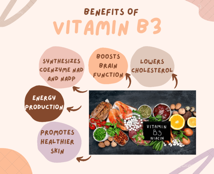 Benefits of vitamin B3