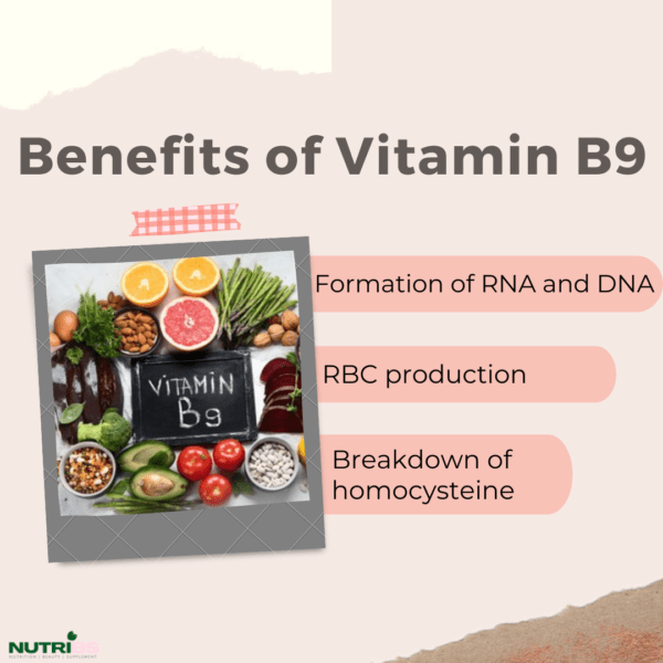 Benefits of vitamin B9