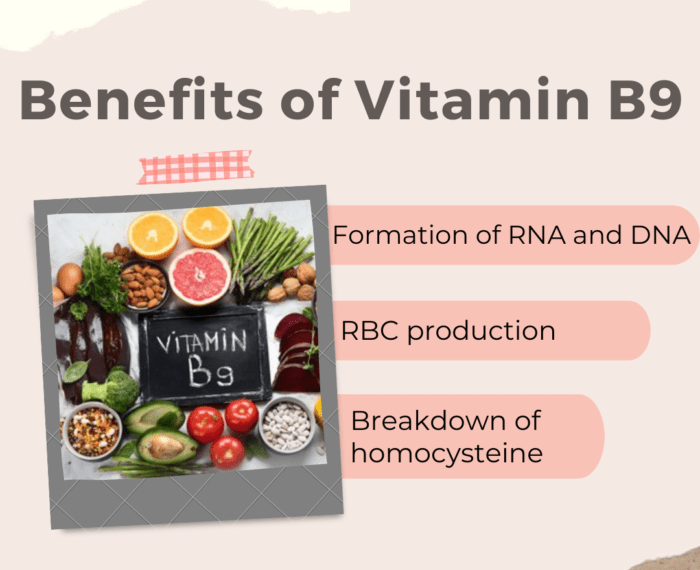 Benefits of vitamin B9