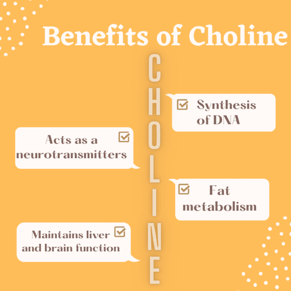 Benefits of choline