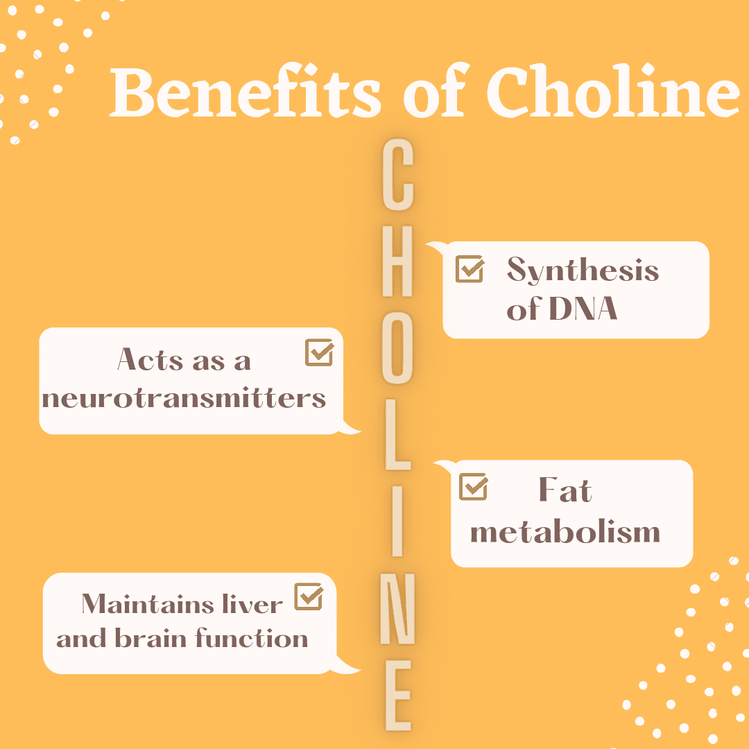 Choline Benifits Source Deficiency Toxicity Nutribs 3618