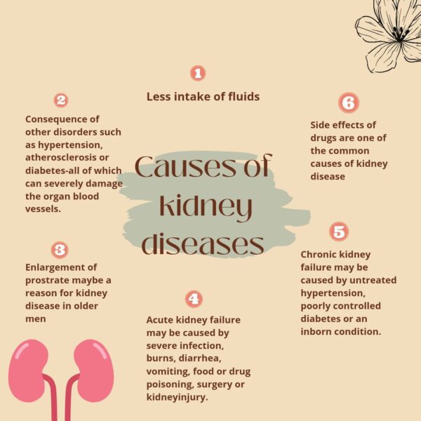 Causes of kidney diseases
