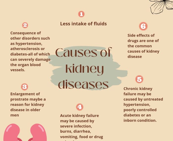 Causes of kidney diseases