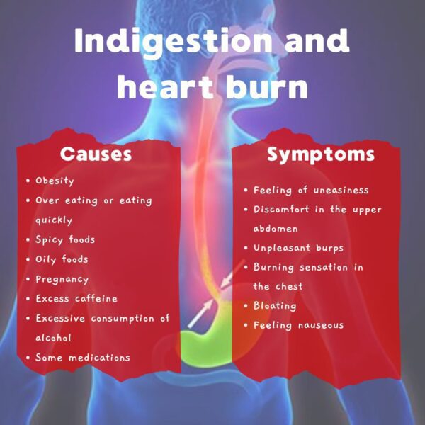 Indigestion and heartburn